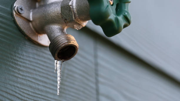 Best Same-Day Plumbing Service  in Campbell, OH